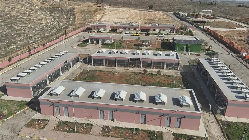 27 mil 960 animais vadios foram recolhidos em Şanlıurfa